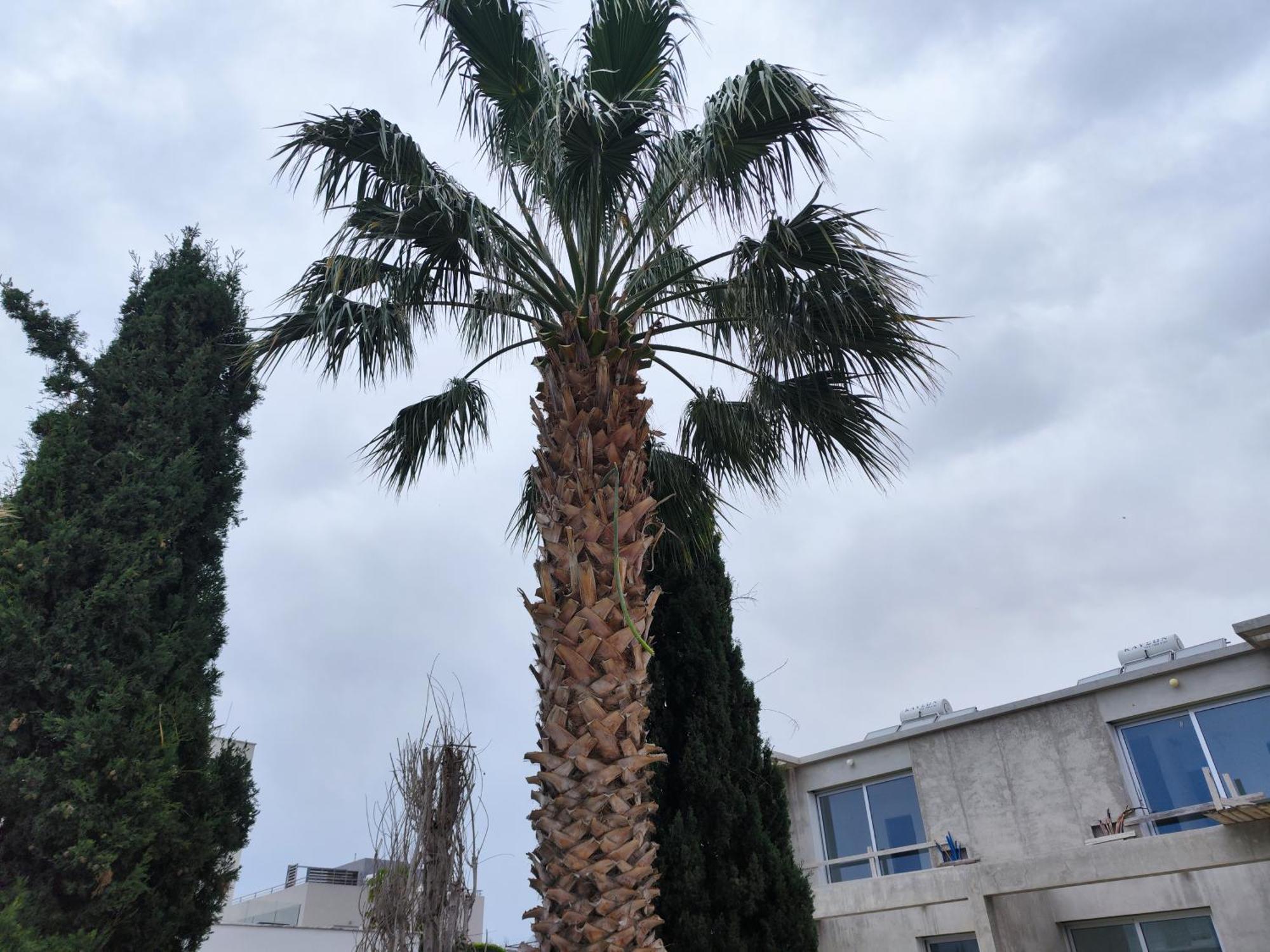 Paphos Sunset Green 02 מראה חיצוני תמונה