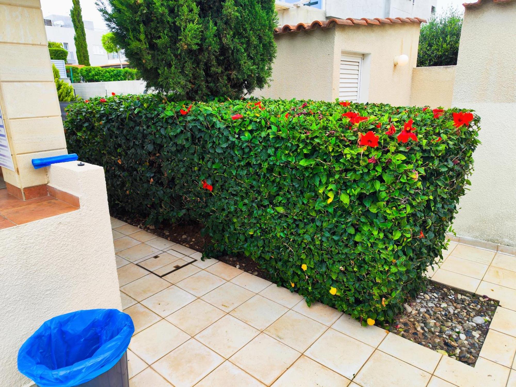 Paphos Sunset Green 02 מראה חיצוני תמונה